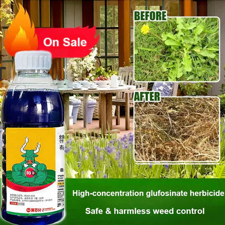 High Concentration Glufosinate Herbicide ( BUY 1 GET 1 FREE )