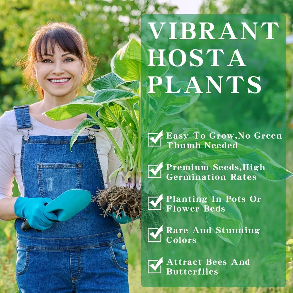 Imported Hosta Flower Seeds  + Free Plant Growth Boost Supplement