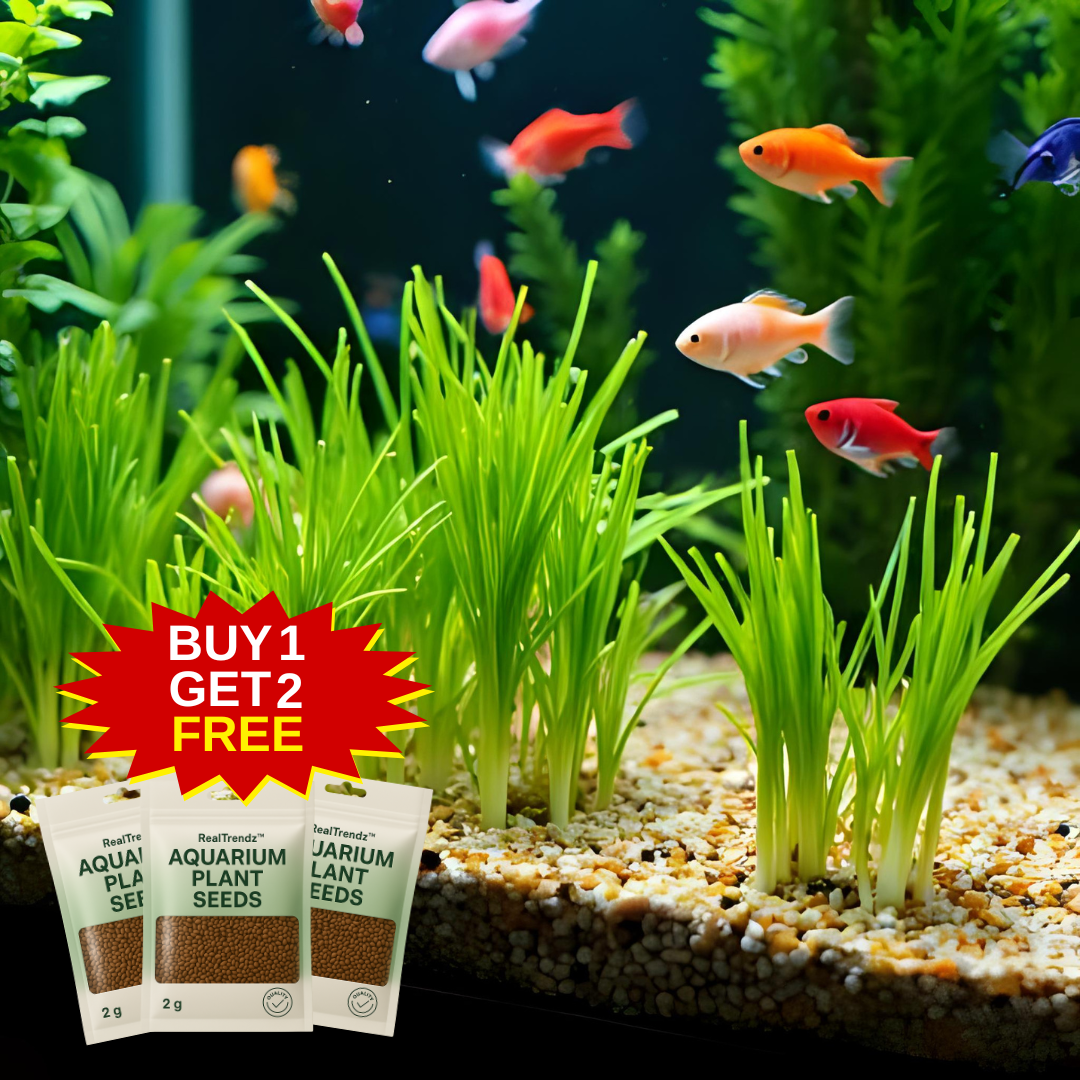 Aquarium Plants Seeds | BUY 1 GET 2 FREE!
