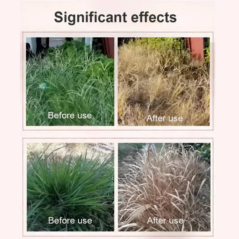 High Concentration Glufosinate Herbicide ( BUY 1 GET 1 FREE )