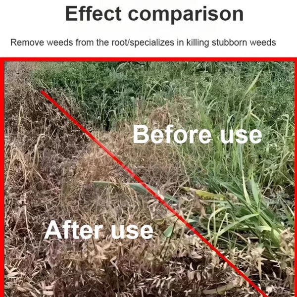 High Concentration Glufosinate Herbicide ( BUY 1 GET 1 FREE )