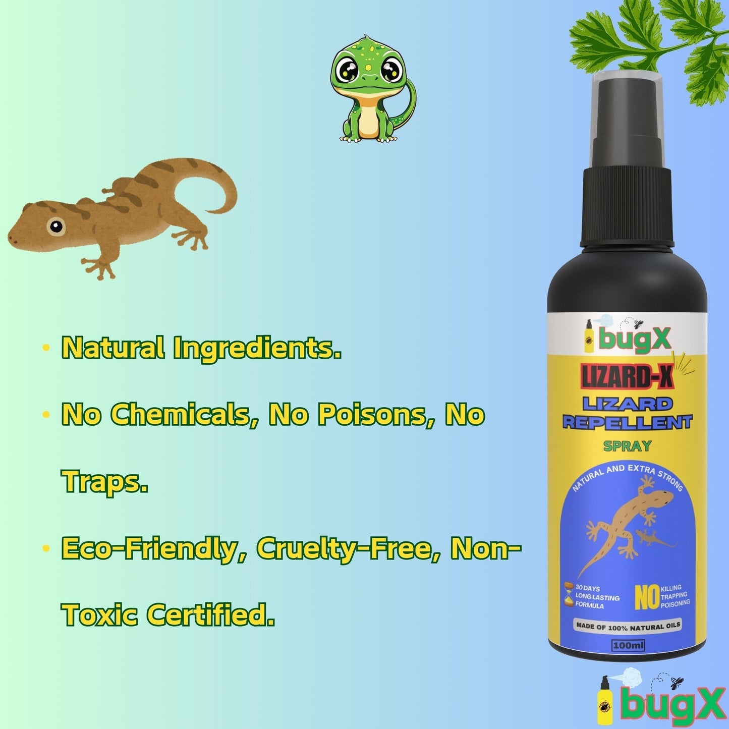 LIZARD-X Lizard Repellent Spray - Pack of 2