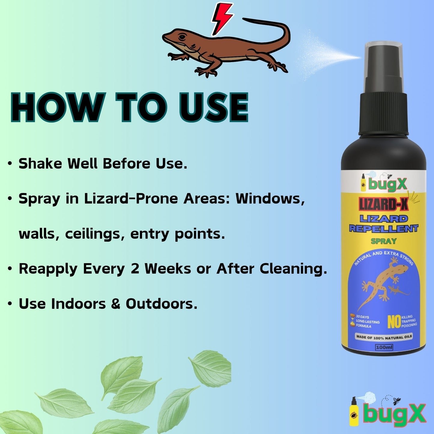 LIZARD-X Lizard Repellent Spray - Pack of 2