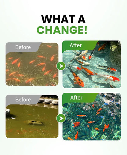 Premium Pond Care Powder | Water Clarifier & Algae Control 🐟🌊🔬