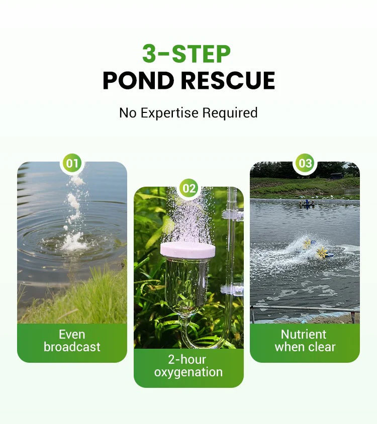 Premium Pond Care Powder | Water Clarifier & Algae Control 🐟🌊🔬